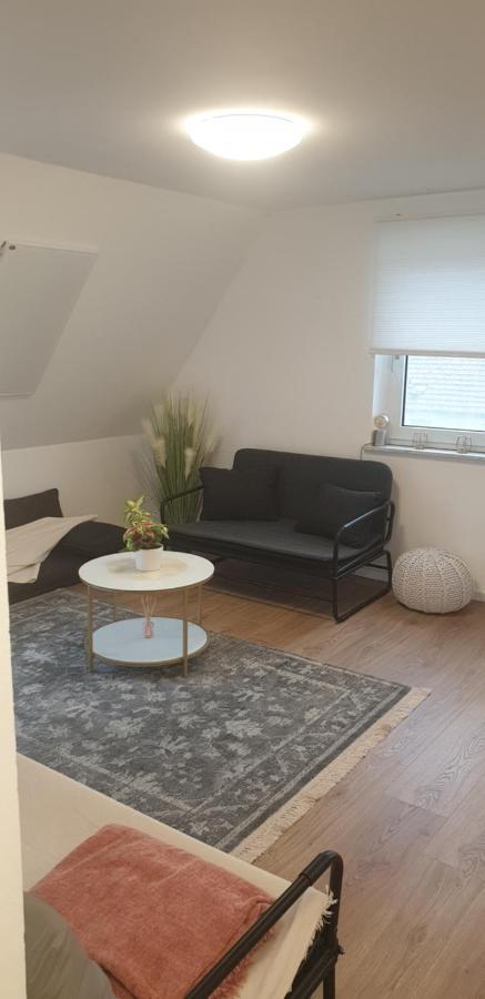 Frisch Renoviert Mit Dachterrasse - Geniesse Ruhe Und Grun Nahe Neustadt Aisch Нойштадт-ан-дер-Айш Екстер'єр фото